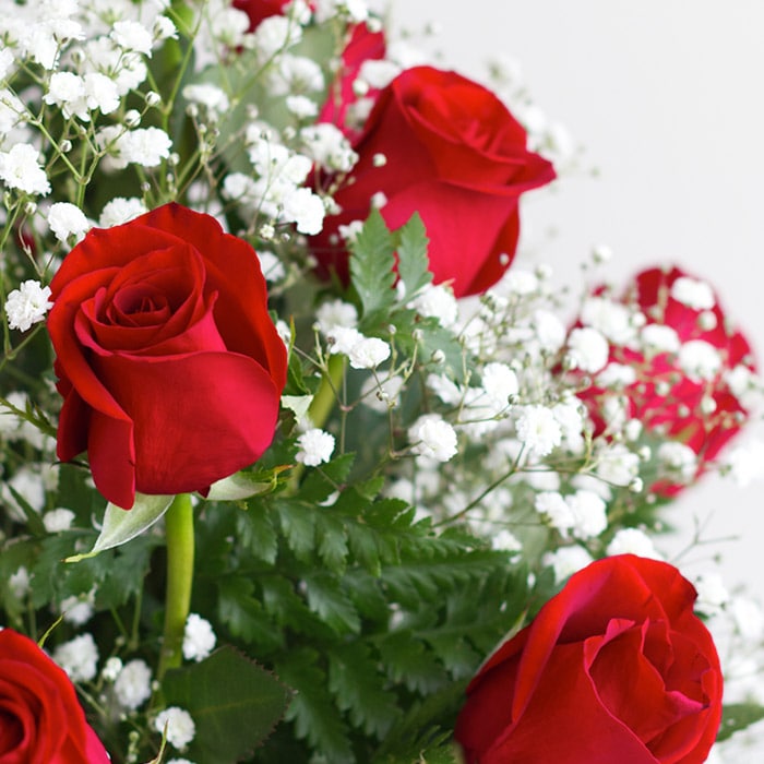 Red roses resting among baby's breath and greenery, tightly bundled together, placed against a plain light background.