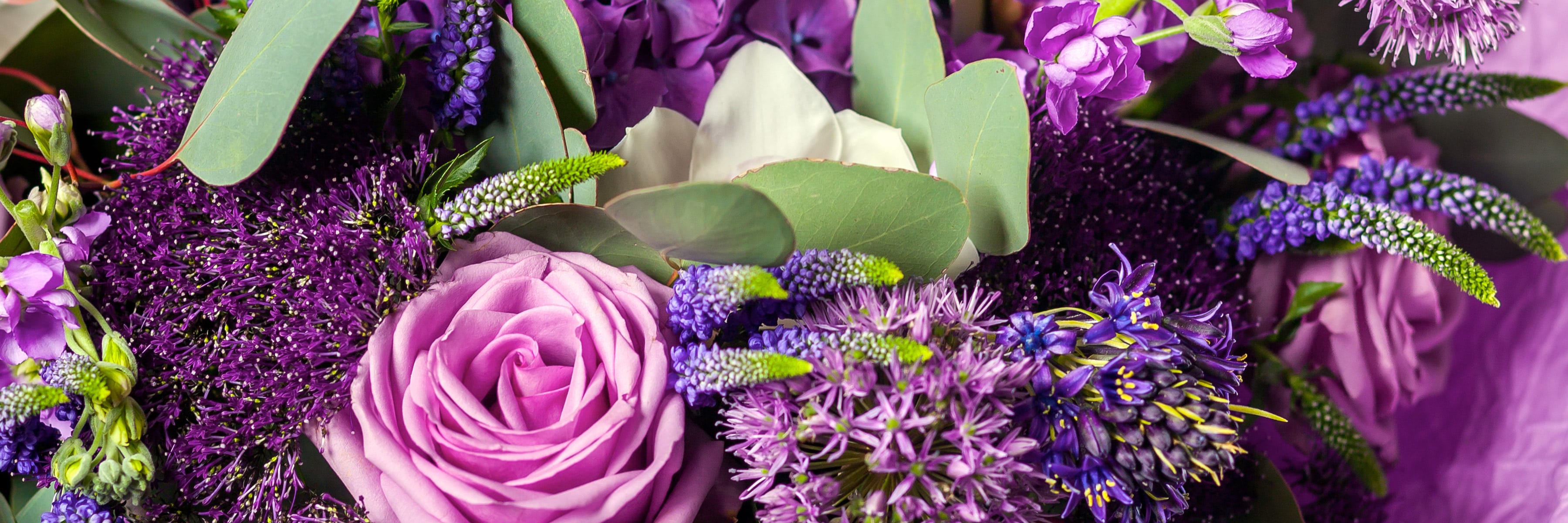 A bouquet of various purple flowers, including roses and veronica, surrounded by green leaves and set against a soft, purple background.