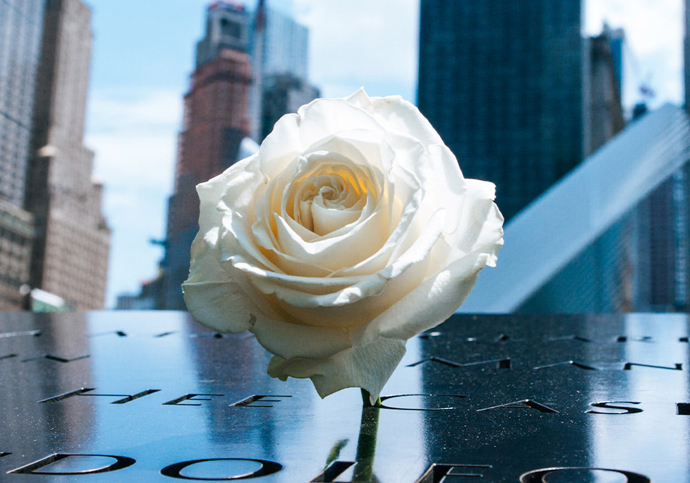 A white rose lies on a reflective black memorial surface with engraved names, set against the backdrop of tall city buildings under a blue sky.