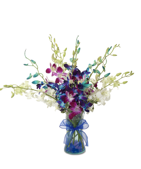 St. Louis Summer Flowers & Bouquets | Walter Knoll Florist