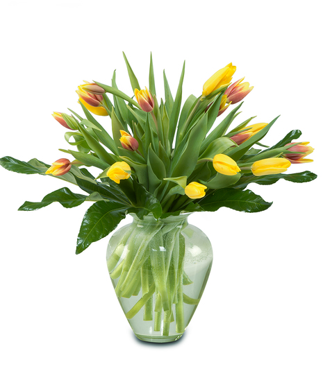 Tulips in a Vase