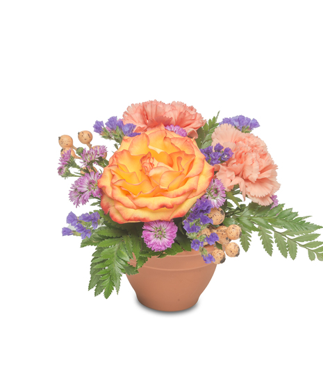 Two-tone yellow and orange roses, peach berries, peach carnations, deep purple statice, and monte in a small terracotta pot, perfect for fall decor in small spaces.