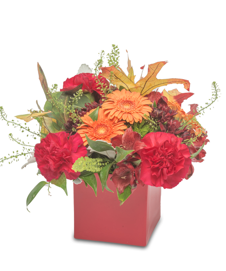 Red cube with orange gerberas, red carnations, red alstroemeria lilies, greenery, fall leaves, and burgundy mums, capturing the warm essence of fall.