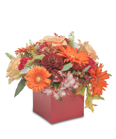 Red cube with orange gerberas, red carnations, red alstroemeria lilies, greenery, fall leaves, and burgundy mums, capturing the warm essence of fall.