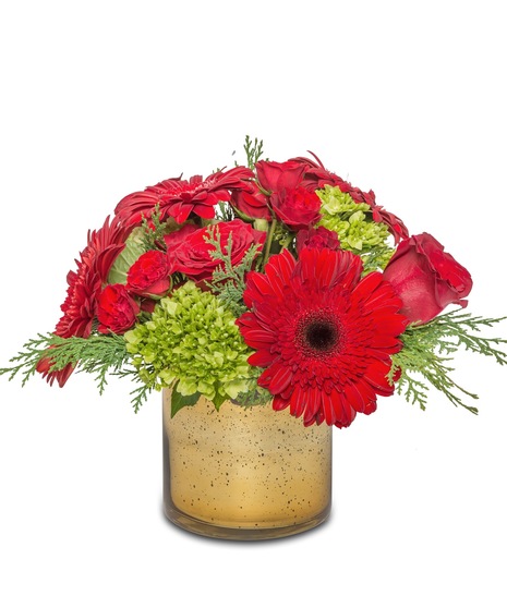 Jolly Joy' Floral Arrangement: Red Gerbera Daisies, Red Roses, Green Hydrangeas - a vibrant holiday delight