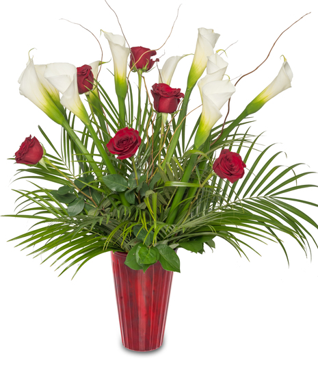 Calla Lily Expression: Large white calla lilies in a bold red vase, symbolizing love and elegance – a timeless masterpiece for special moments.