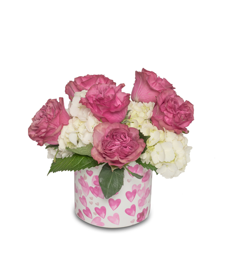 Blushing pinkish roses amid white hydrangeas in a heart-patterned pot—a romantic and elegant floral arrangement.