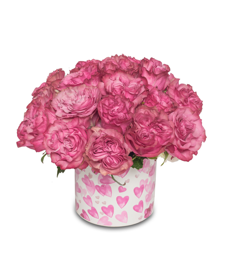 Blushing pinkish roses amid white hydrangeas in a heart-patterned pot—a romantic and elegant floral arrangement.