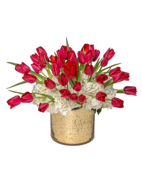 Tiptoe Tulips arrangement with red tulips over fluffy white hydrangeas in a gold cylinder vase. Elegant and symbolic of love, passion, and trust.