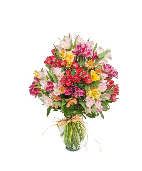 Walter Knoll Florist Alstromeria Bouquet