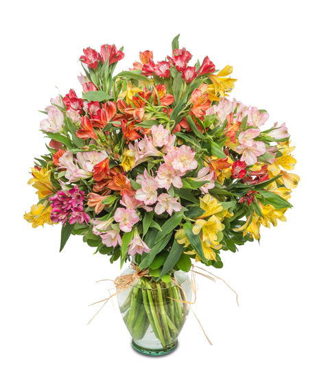 Alstroemeria Kaleidoscope Bouquet