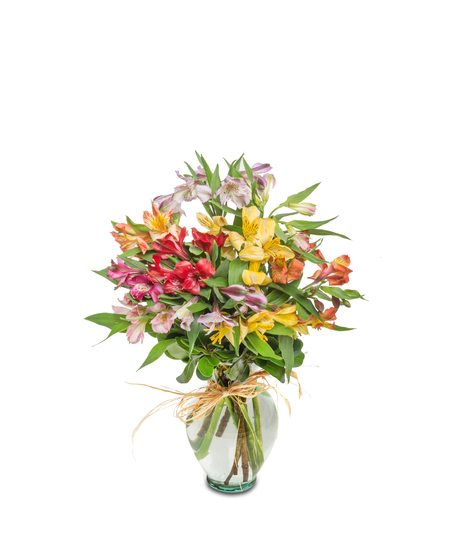 Walter Knoll Florist Alstromeria Bouquet