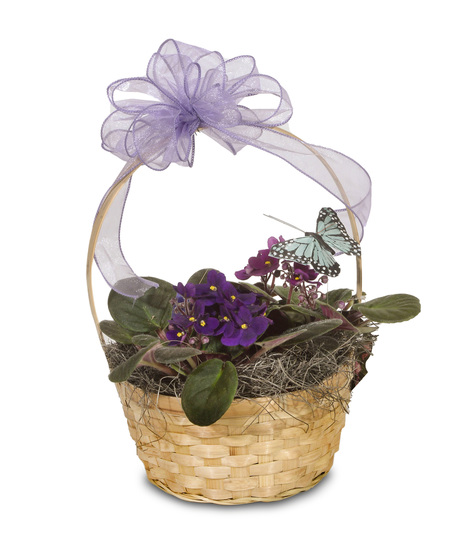 Violets & Butterflies Basket