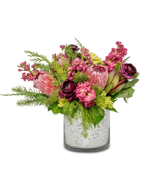 Image of Snowberry floral arrangement: Cranberry, plum, and pink flowers with mink proteas, ranunculus, pink stock, green hydrangeas in a shimmering silver cylinder