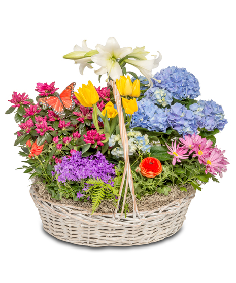 SPRING BASKET