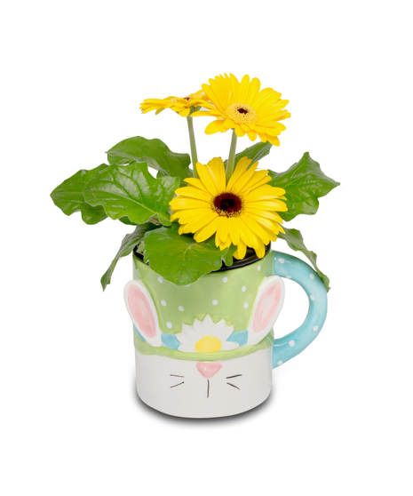 An oversized mug featuring a cute bunny gnome, filled with either a vibrant gerbera plant or a small floral arrangement, adding whimsy to home decor.