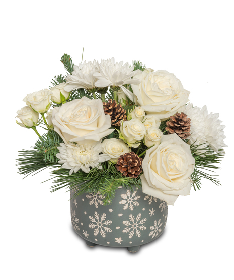 Snowflake floral arrangement in grey ceramic pot with white roses, spray roses, white mums, wintergreens of pine and fir, and miniature pinecones, by Walter Knoll Florist