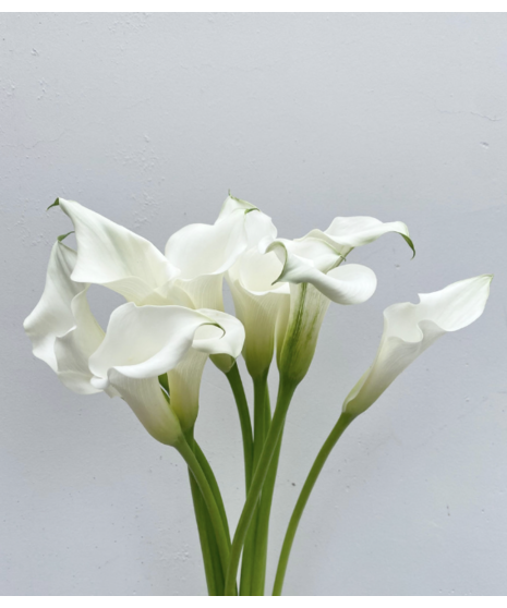 Elegant bouquet of fresh calla lilies arranged in a clear glass vase, designed by Walter Knoll Florist, perfect for adding a vibrant touch of modern elegance to any space.